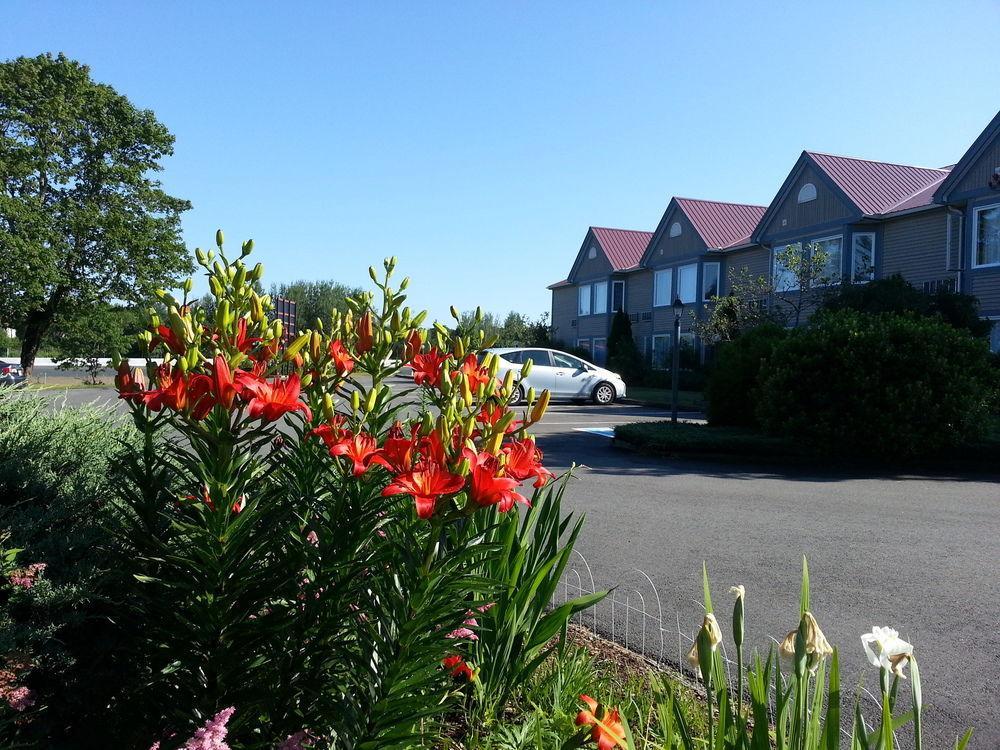 Granite Town Hotel Saint George ภายนอก รูปภาพ